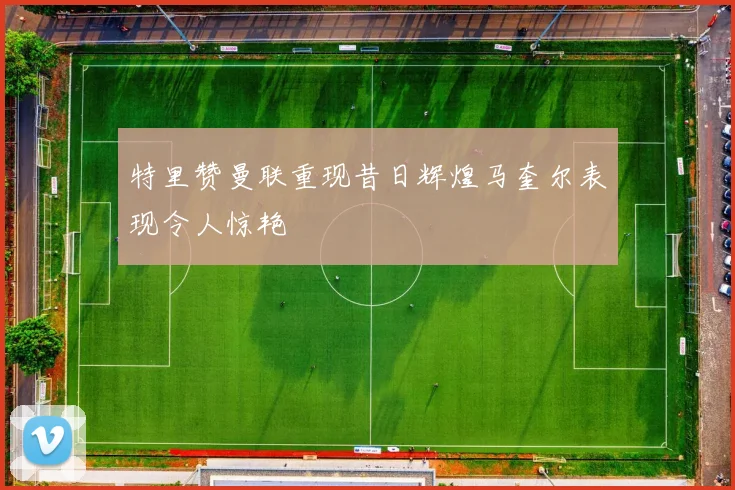 特里赞曼联重现昔日辉煌马奎尔表现令人惊艳
